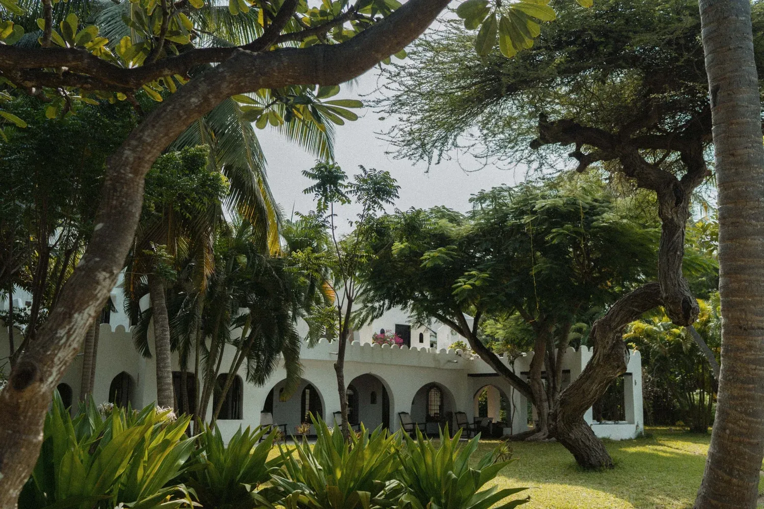 Charlotte & Dougie — Lamu Island, Kenya
