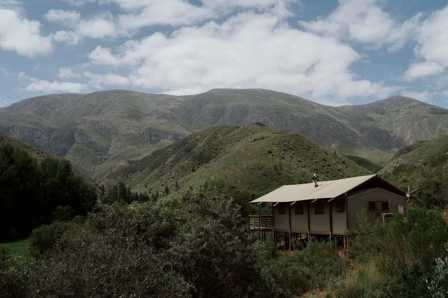 Jacquie & Phil — Pat Busch, Robertson, South Africa