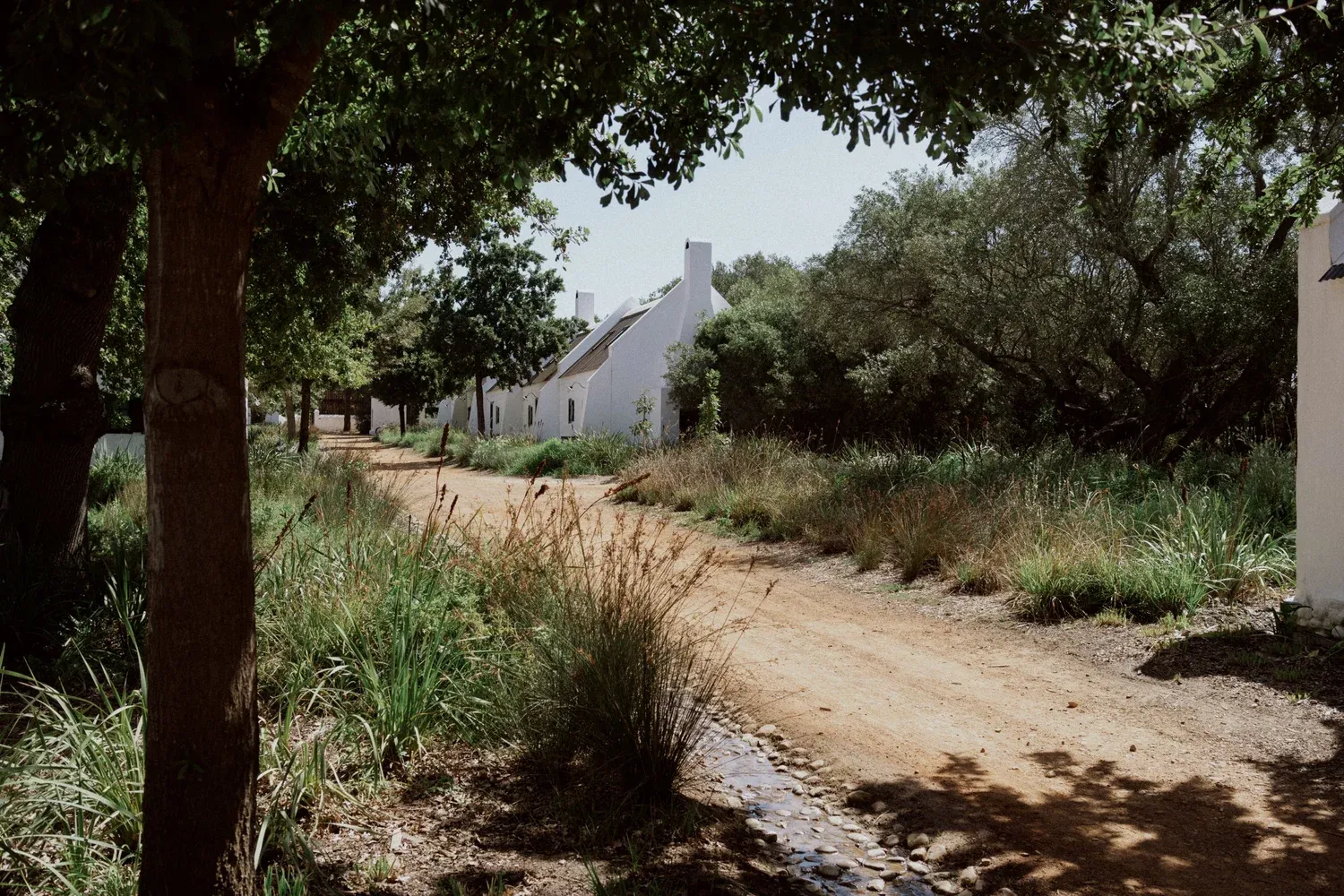 Destination Weddings — Cape Town, South Africa