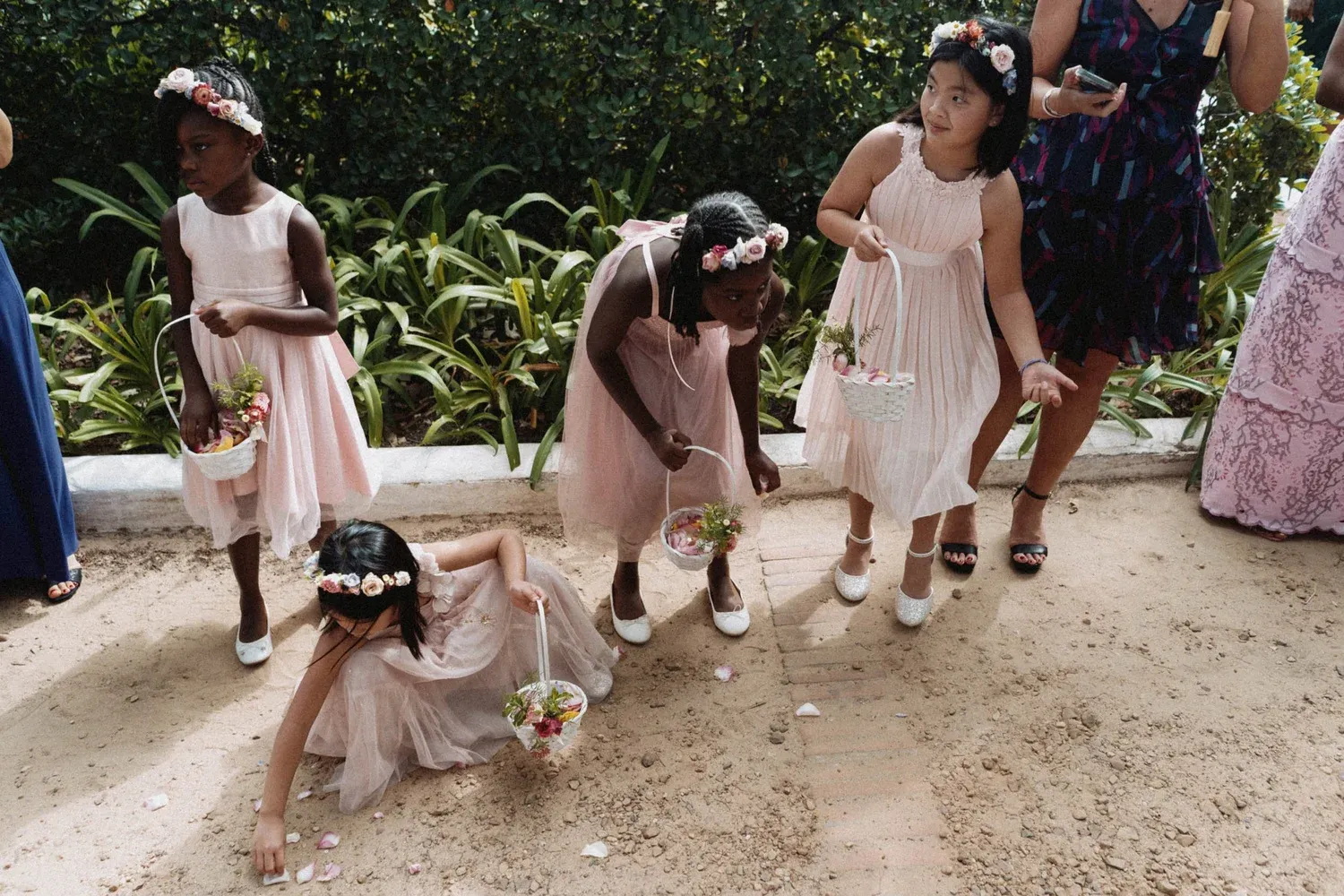 Michael & Laura — Vrede en Lust, Cape Winelands, South Africa