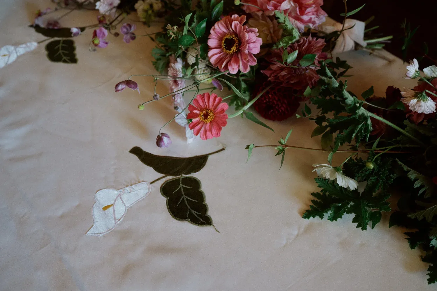 Sophie & Max — Nooitgedacht, Stellenbosch, South Africa
