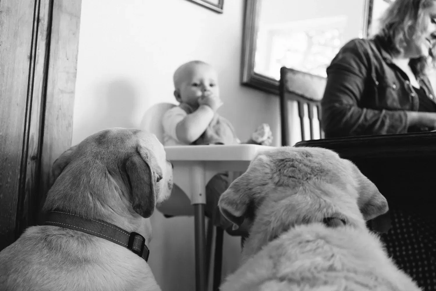 Family photography by Love Made Visible
