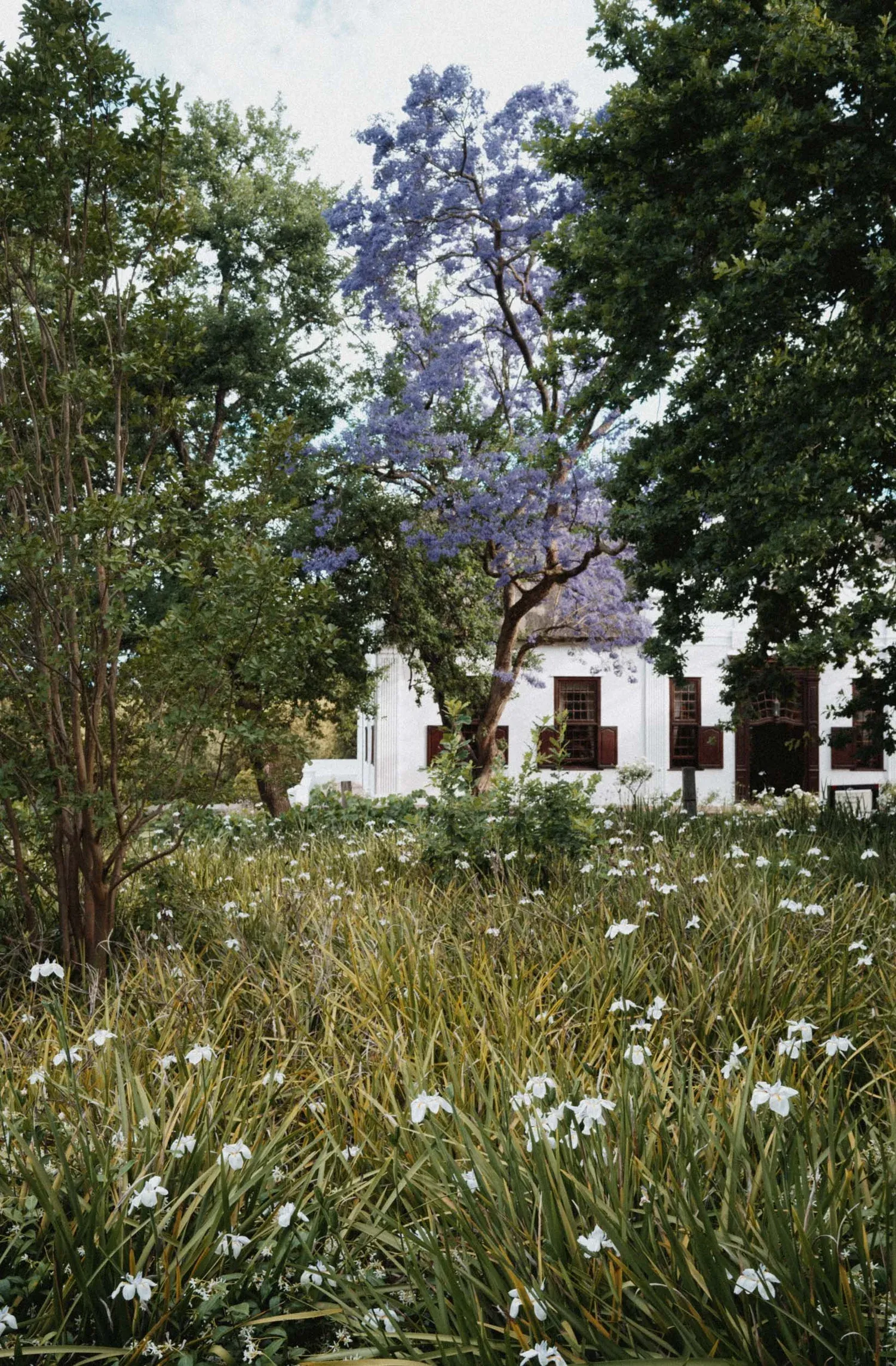 Michael & Laura — Vrede en Lust, Cape Winelands, South Africa