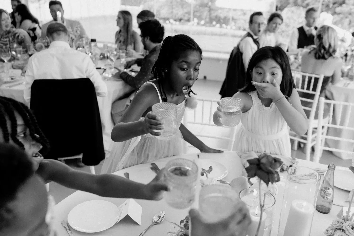 Michael & Laura — Vrede en Lust, Cape Winelands, South Africa