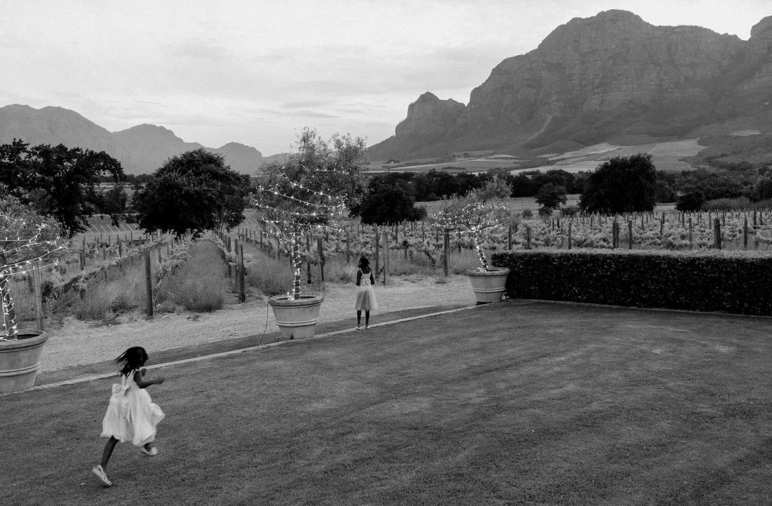 Michael & Laura — Vrede en Lust, Cape Winelands, South Africa
