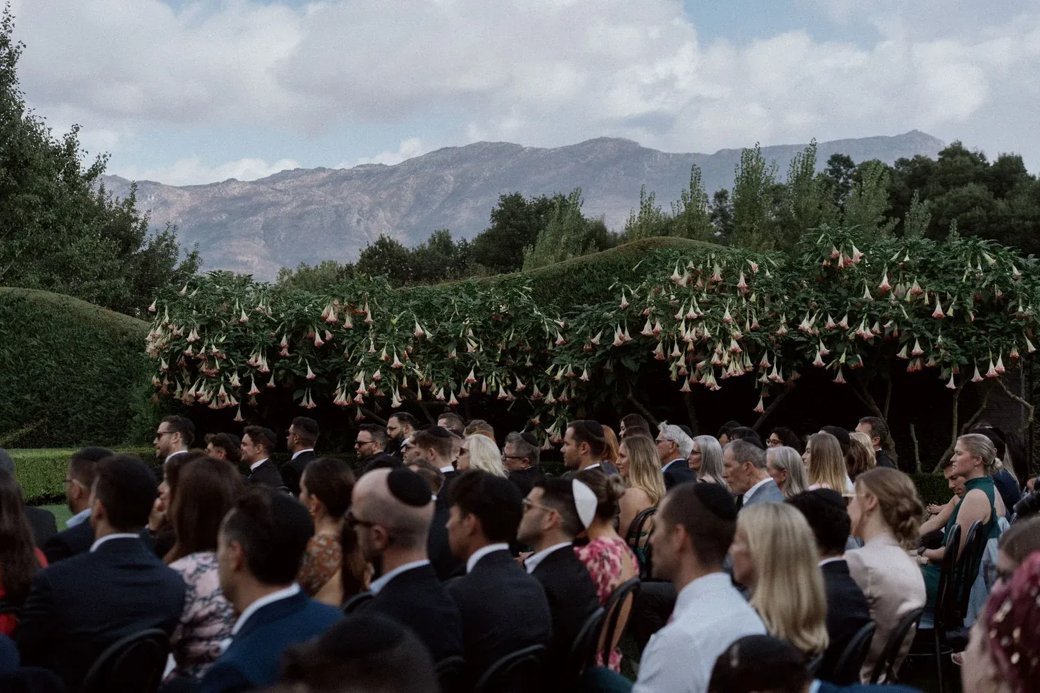 Rebecca & Daniel — Johannesdal, Stellenbosch, South Africa
