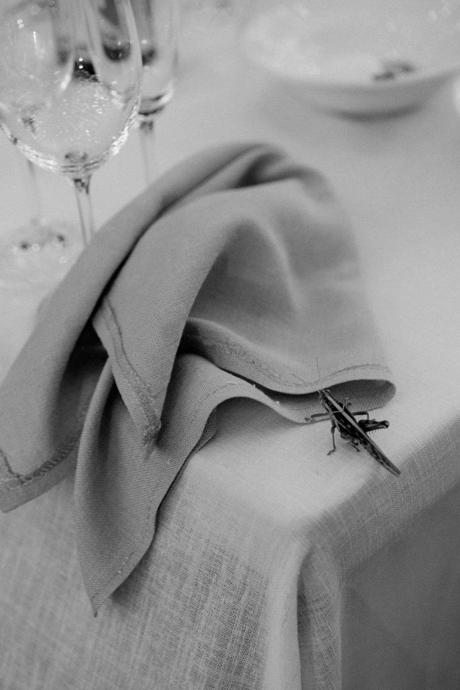 Jacquie & Phil — Pat Busch, Robertson, South Africa