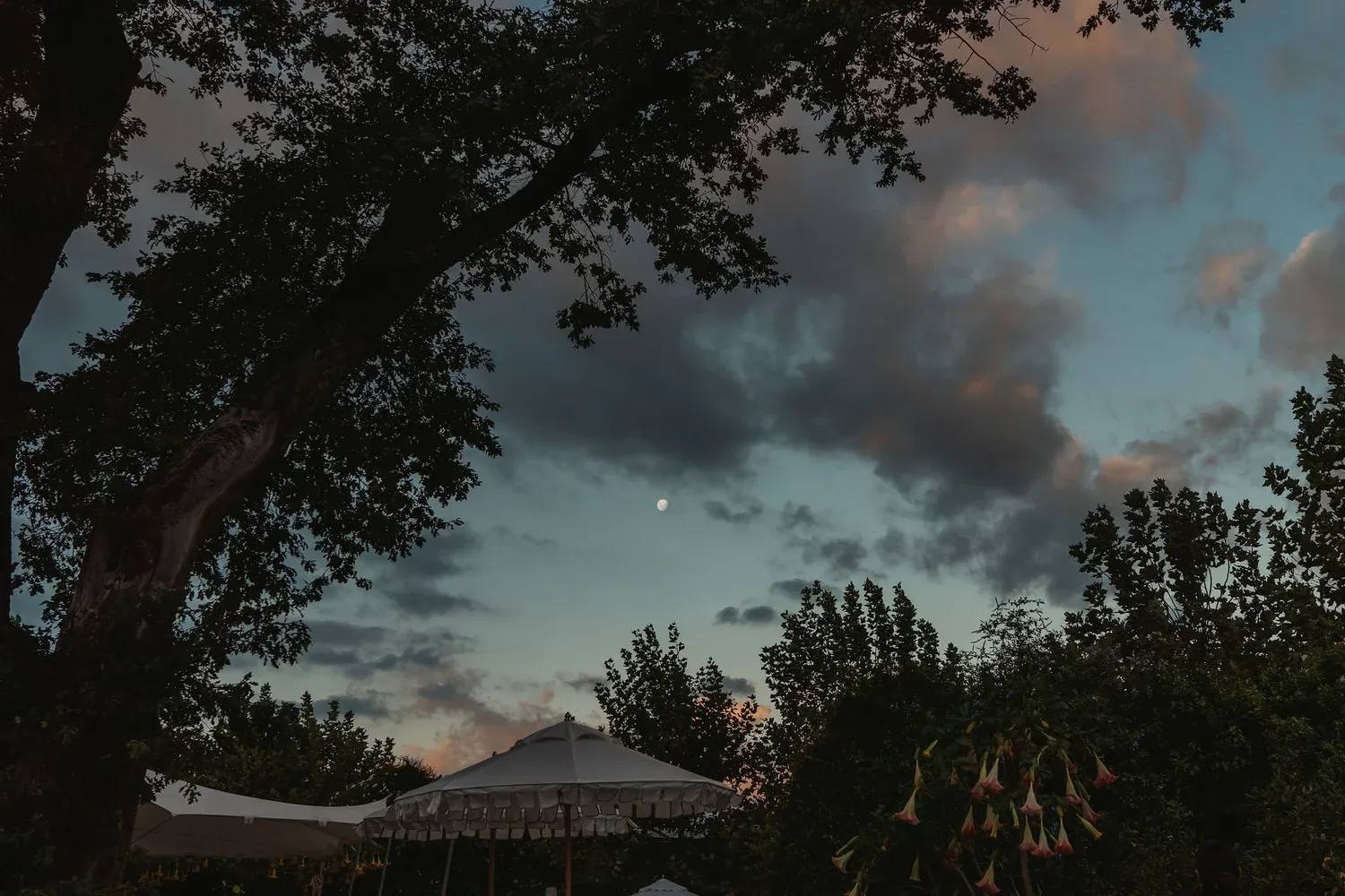 Rebecca & Daniel — Johannesdal, Stellenbosch, South Africa