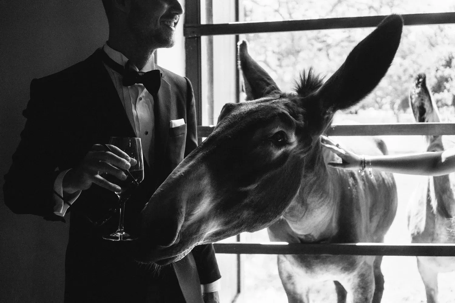 Wedding photography by Love Made Visible